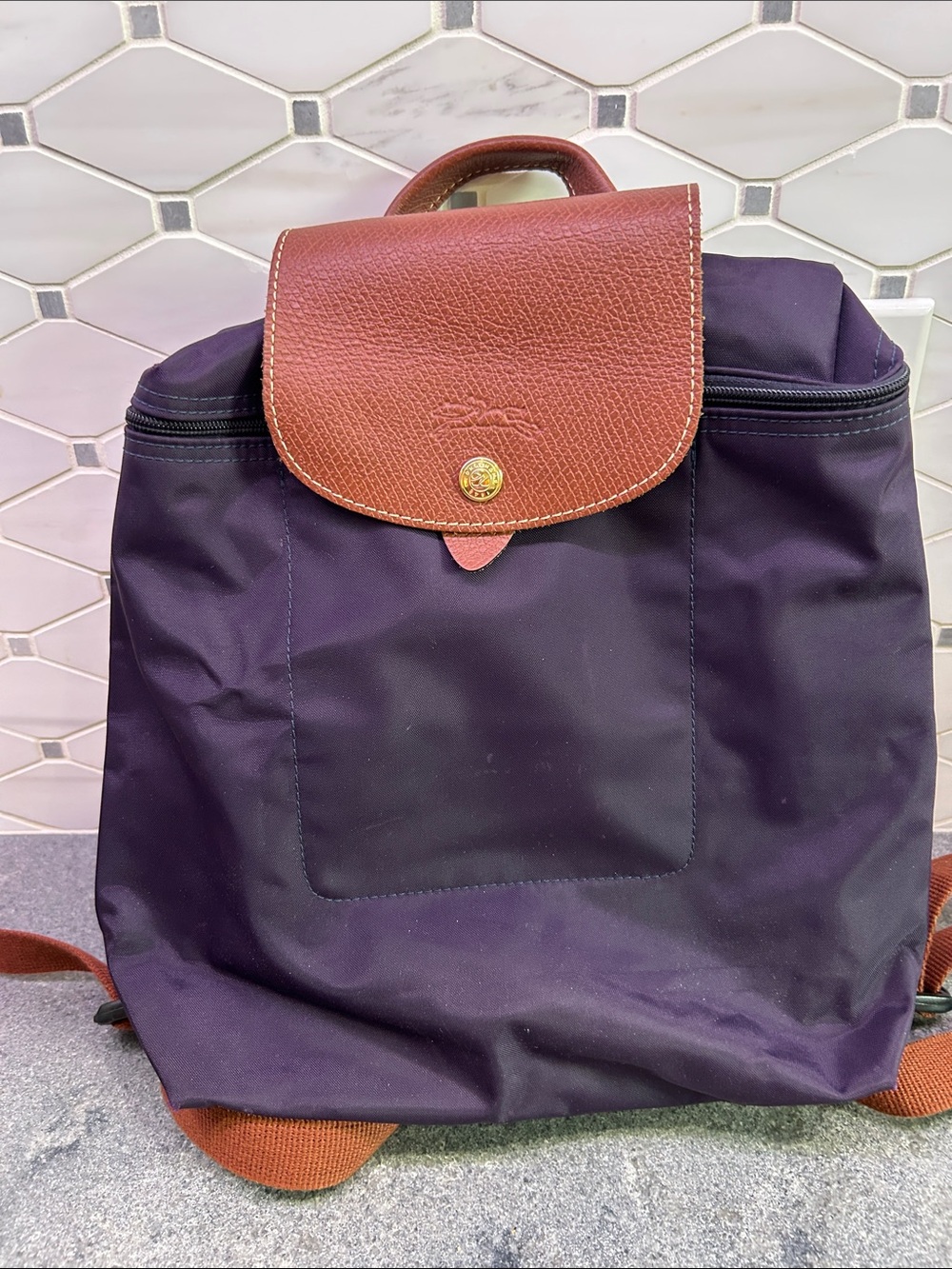 Longchamp purple le plage backpack